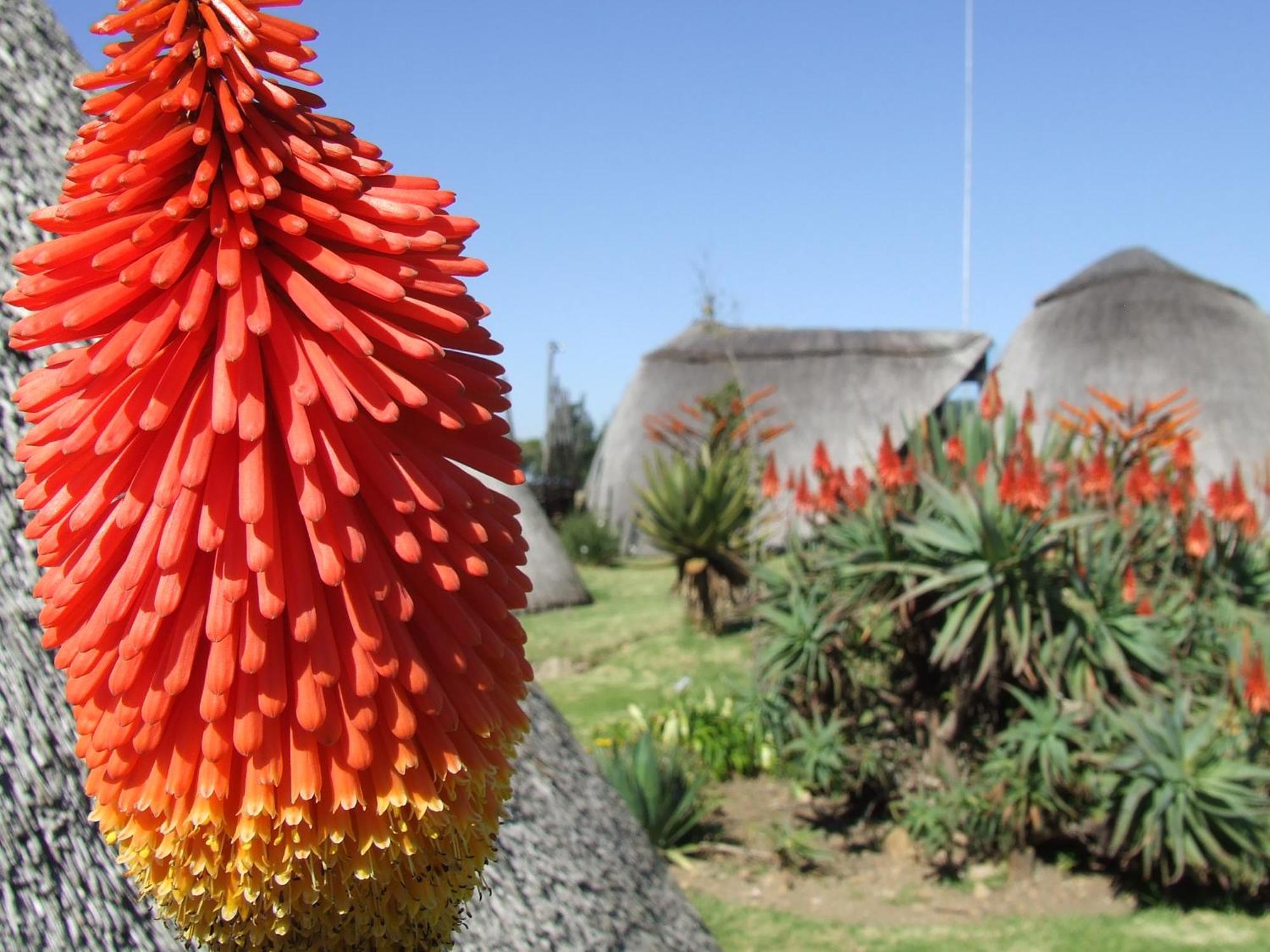 Hawane Resort Mbabane Exterior foto